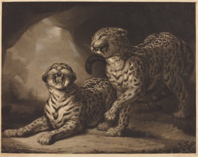 Leoparden von Samuel William Reynolds I after James Northcote