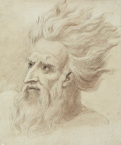 Kopf eines Mannes mit Bart und langen Haaren im Wind von Samuel de Wilde