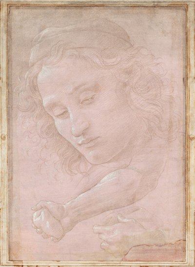 Kopf eines Jugendlichen mit Mütze; ein rechter Unterarm mit einer Hand, die einen Stein hält; und eine linke Hand, die ein Tuch hält von Sandro Botticelli