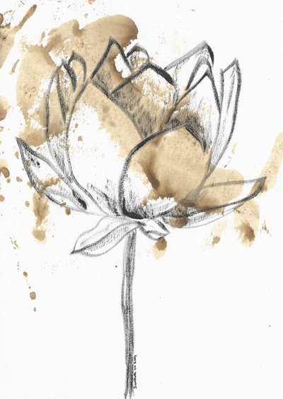 Kaffeefarbene Lotusblüte von Santhosh ch