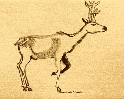 Eleganter Waldhirsch von Santhosh ch