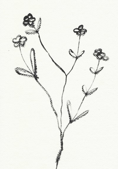Minimalistische Botanische Zeichnung von Santhosh ch