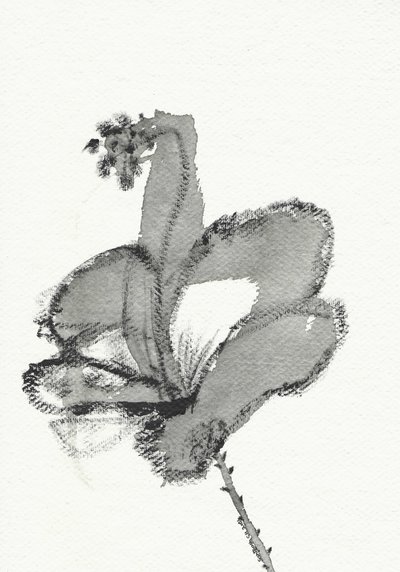 Monochrome Blumenstudie von Santhosh ch