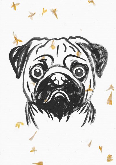 Mops mit Fallenden Blütenblättern von Santhosh ch