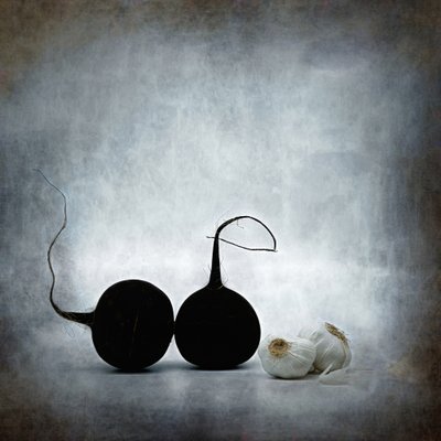 Schwarz ist schön. von Saskia Dingemans