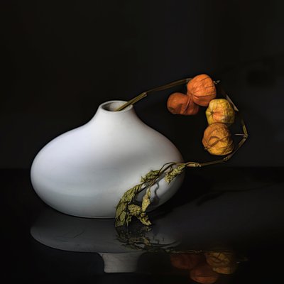 Elegantes Physalis-Stillleben von Saskia Dingemans