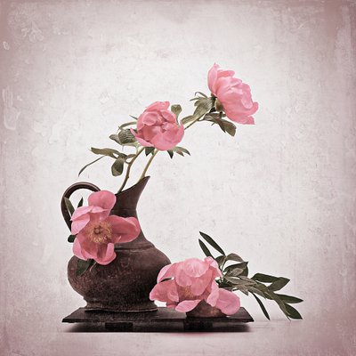 Weiche rosa Pfingstrosen von Saskia Dingemans