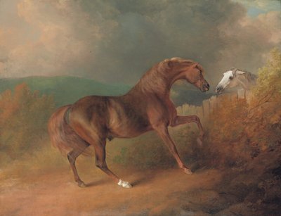 Colonel Thorntons Jupiter, von Eclipse aus einer Stute von Tartar, an einem Zaun, mit einer grauen Stute, in Thornville Royal von Sawrey Gilpin