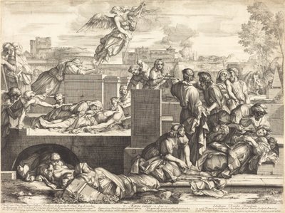 Aegros Curare von Sébastien Bourdon