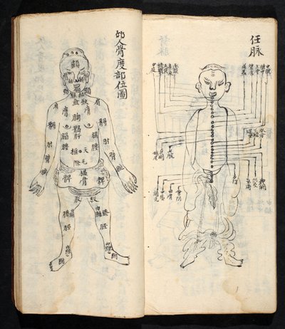 Akupunkturpunkte entlang der Mittellinie des Körpers, aus Jing Guan Qi Zhi, 
