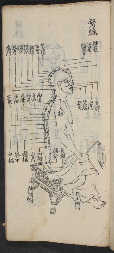 Akupunkturpunkte entlang der Wirbelsäule und des Kopfes, aus Jing Guan Qi Zhi, 