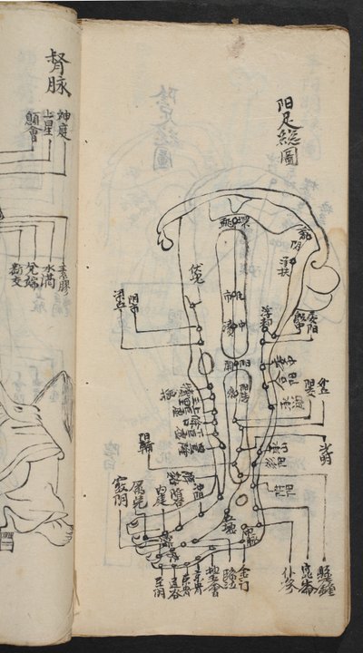 Akupunkturpunkte am Bein, aus Jing Guan Qi Zhi, 