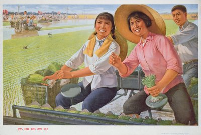 Setzlinge mit einer Maschine verpflanzen ist gut, Propagandaposter aus der Chinesischen Kulturrevolution von School Chinese