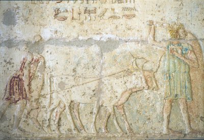 Altes Ägypten, Wandrelief, Grab von Petosiris, Tuna el-Gebel, 300 v. Chr., Pflügen und Säen von Feldfrüchten von School Egyptian