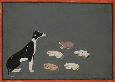 Hund mit Welpen, ca. 1780 von School Mughal