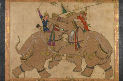 Elefantenkampf von School Mughal