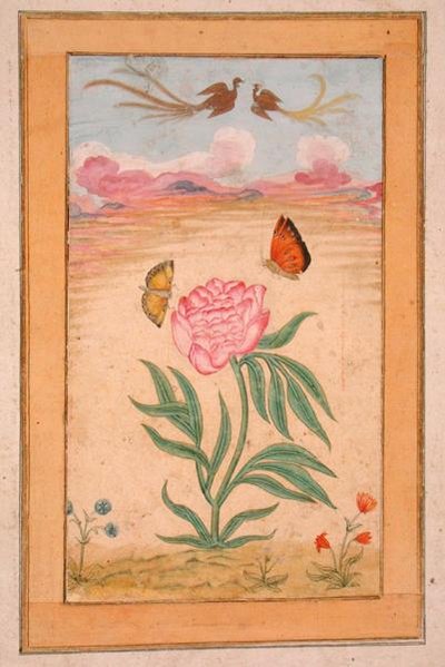 Blühende Pflanzen mit Paradiesvögeln und Schmetterlingen, aus dem Kleinen Clive-Album von School Mughal