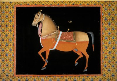 Mogulkunst: Darstellung eines Hengstes. 18. Jahrhundert von School Mughal
