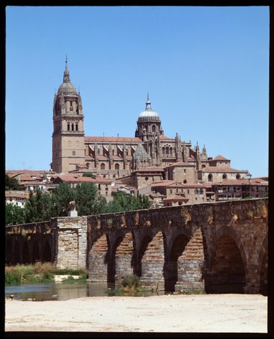Ansicht der römischen Brücke über den Fluss Tormes und der Kathedrale von School Spanish