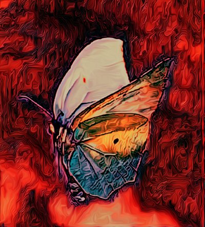 Schmetterling, 2021 von Scott J. Davis