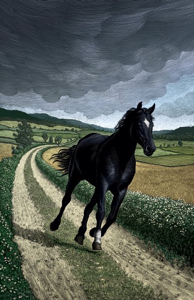 Schwarze Schönheit von Scott McKowen