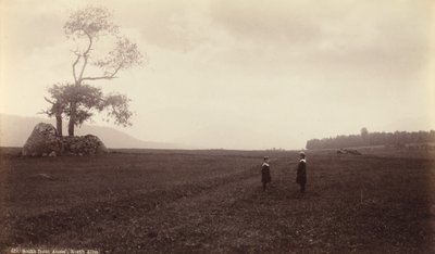 Südlich von Ames, North Elba, ca. 1888 von Seneca Ray Stoddard