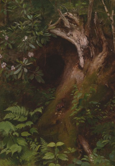 Das Eichhörnchen von Seymour Joseph Guy