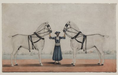 Ein Syce (Pferdeknecht) hält zwei Kutschpferde, ca. 1845 von Shaik Muhammad Amir of Karraya (attr. to)