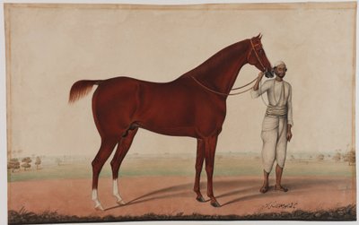 Ein Pferd und ein Stallknecht, ca. 1840 von Shaik Muhammad Amir of Karraya
