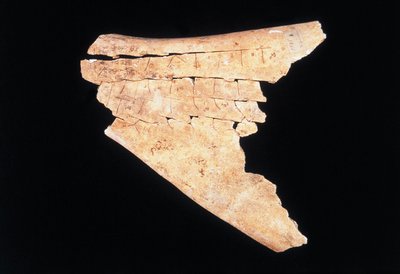 Piktogramm auf einem Ochsenschulterblatt mit einem Ritual zur Abwehr von Gefahren von Shang Dynasty Chinese School