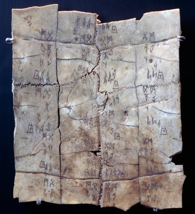 Piktogramm auf Schildkrötenplastron mit Weissagungstext (Schildkrötenplastron) von Shang Dynasty Chinese School
