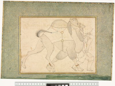 Kamel und Führer, ca. 1545-76 von Shaykh Muhammad