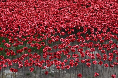 Blood Swept Lands and Seas of Red, Tower of London, 2014 von Sheldon Marshall