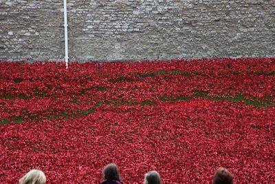 Blood Swept Lands and Seas of Red, Tower of London, 2014 von Sheldon Marshall