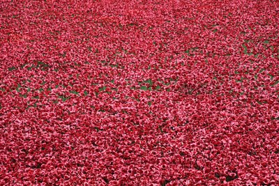 Blutüberströmte Länder und Meere aus Rot, Tower of London von Sheldon Marshall
