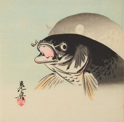 Zwei Fische von Shibata Zeshin