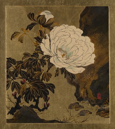 Lackmalereien zu verschiedenen Themen: Pfingstrosen von Shibata Zeshin
