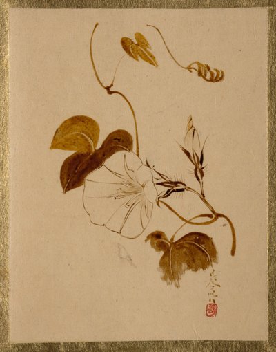 Morgenruhm von Shibata Zeshin