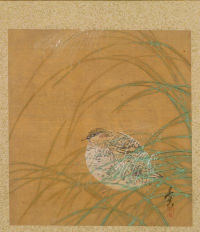 Wachtel im Gras aus dem Album der Gemälde des Ehrwürdigen Zeshin von Shibata Zeshin