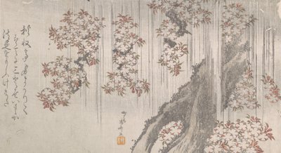 Kirschblüten im Regen, 19. Jahrhundert von Shinsai