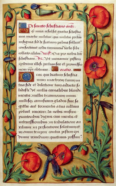 Mohnblumen und Libelle, aus einem Stundenbuch, ca. 1540 von Simon Bening