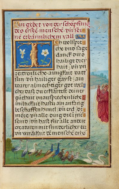 Bordüre mit der Erschaffung von Vögeln und Fischen von Simon Bening