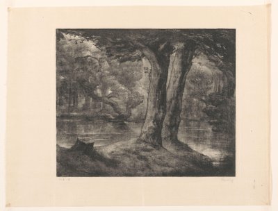 Wasser im Wald von Simon Moulijn (signed by artist)