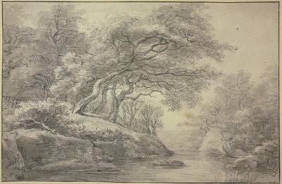 Bach am Waldrand von Simon de Vlieger