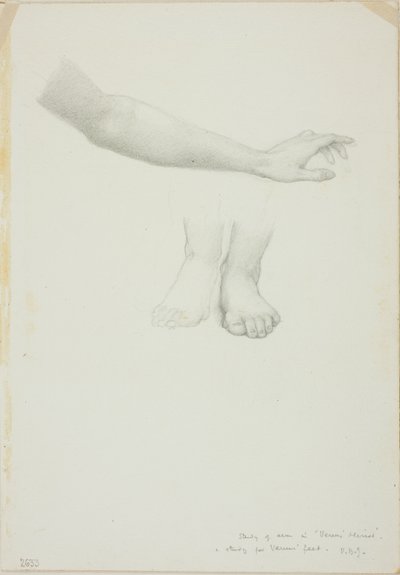 Arm und Füße, Studie für Spiegel der Venus von Sir Edward Burne Jones