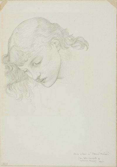 Kopf, Studie für Spiegel der Venus von Sir Edward Burne Jones