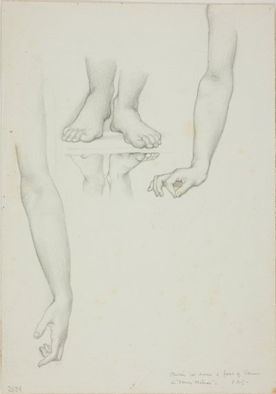 Studie für Spiegel der Venus: Arme und Füße der Venus von Sir Edward Burne Jones