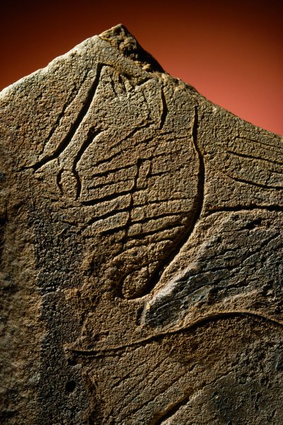 Elegante Gravur eines menschlichen Profils auf einem prähistorischen Kalksteinversteck gefunden von Sisse Brimberg