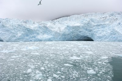 Eisbrocken von nahegelegenen Gletschern treiben im arktischen Meer, Svalbard-Inseln, Norwegen von Sisse Brimberg