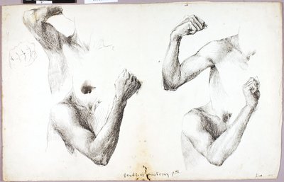 Vier Armstudien, Nr. 1 von Solon H. Borglum